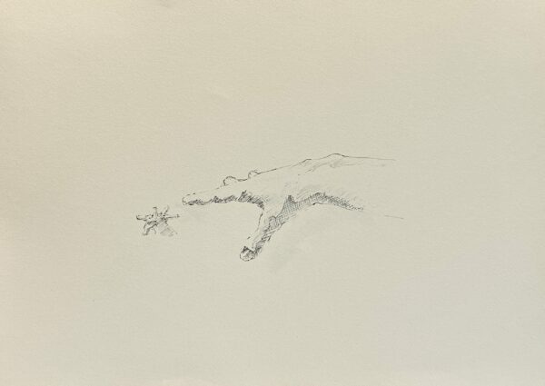 Dessin Main miroir n°6 - Encre de chine sur papier 29 x 40