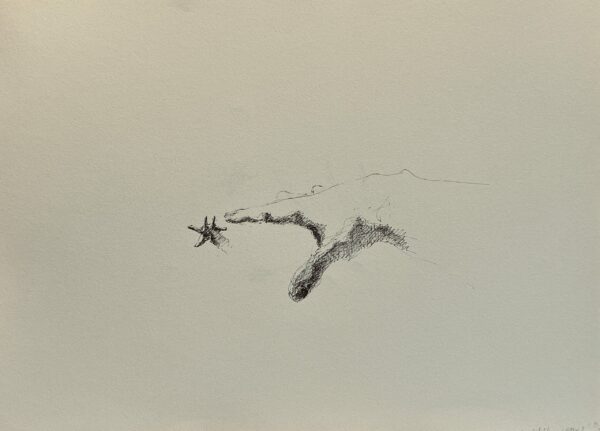 Dessin Main miroir n°7 - Encre de chine sur papier 29 x 40