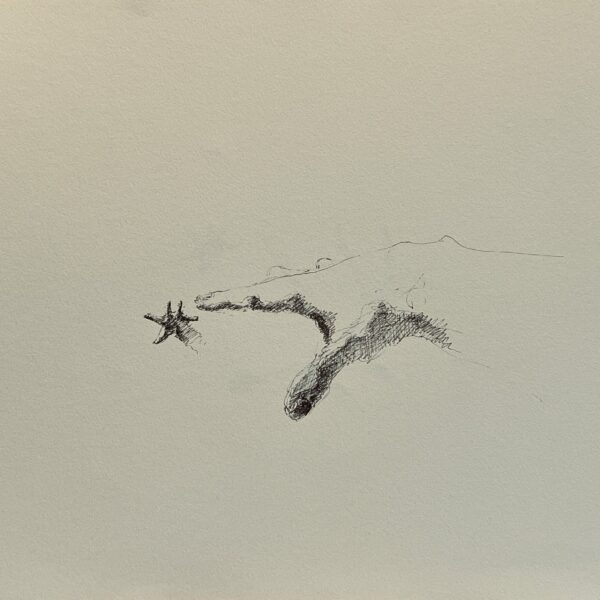 Dessin Main miroir n°7 - Encre de chine sur papier 29 x 40