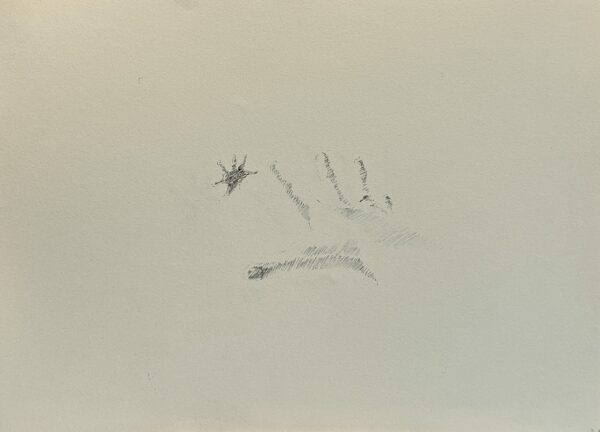 Dessin Main miroir n°8 - Encre de chine sur papier 29 x 40