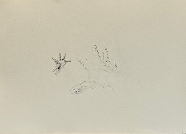 Dessin Main miroir n°11 - Encre de chine et graphite sur papier 29 x 40