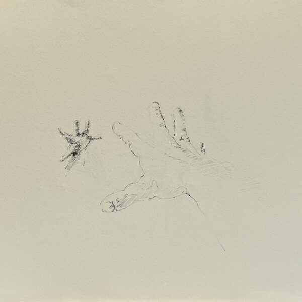 Dessin Main miroir n°11 - Encre de chine et graphite sur papier 29 x 40